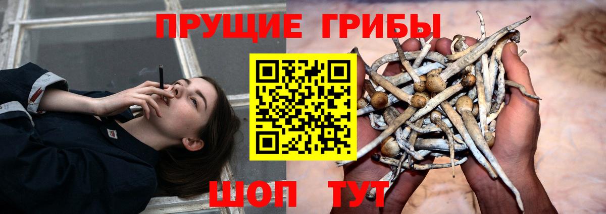 Псилоцибиновые грибы мицелий  Вход с VPN  Заринск 